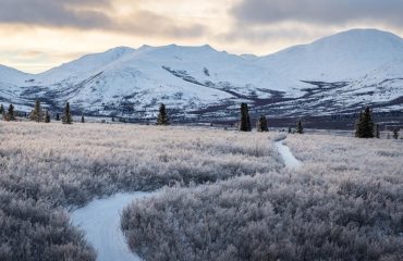 Dog sledding: Winter trails in Yukon