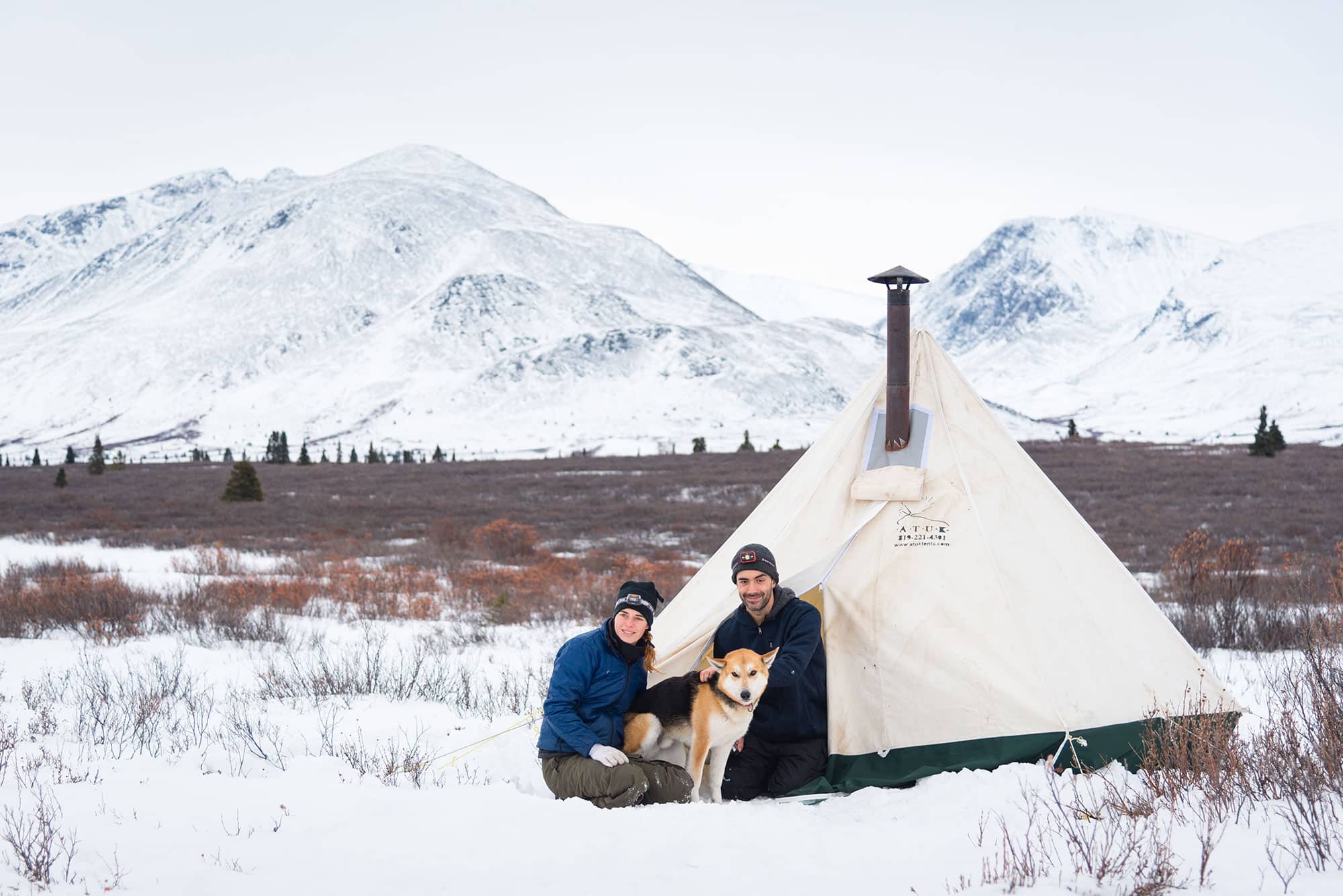 Dog sledding : Warm winter camping