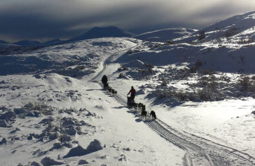 Dog sledding in the mountains