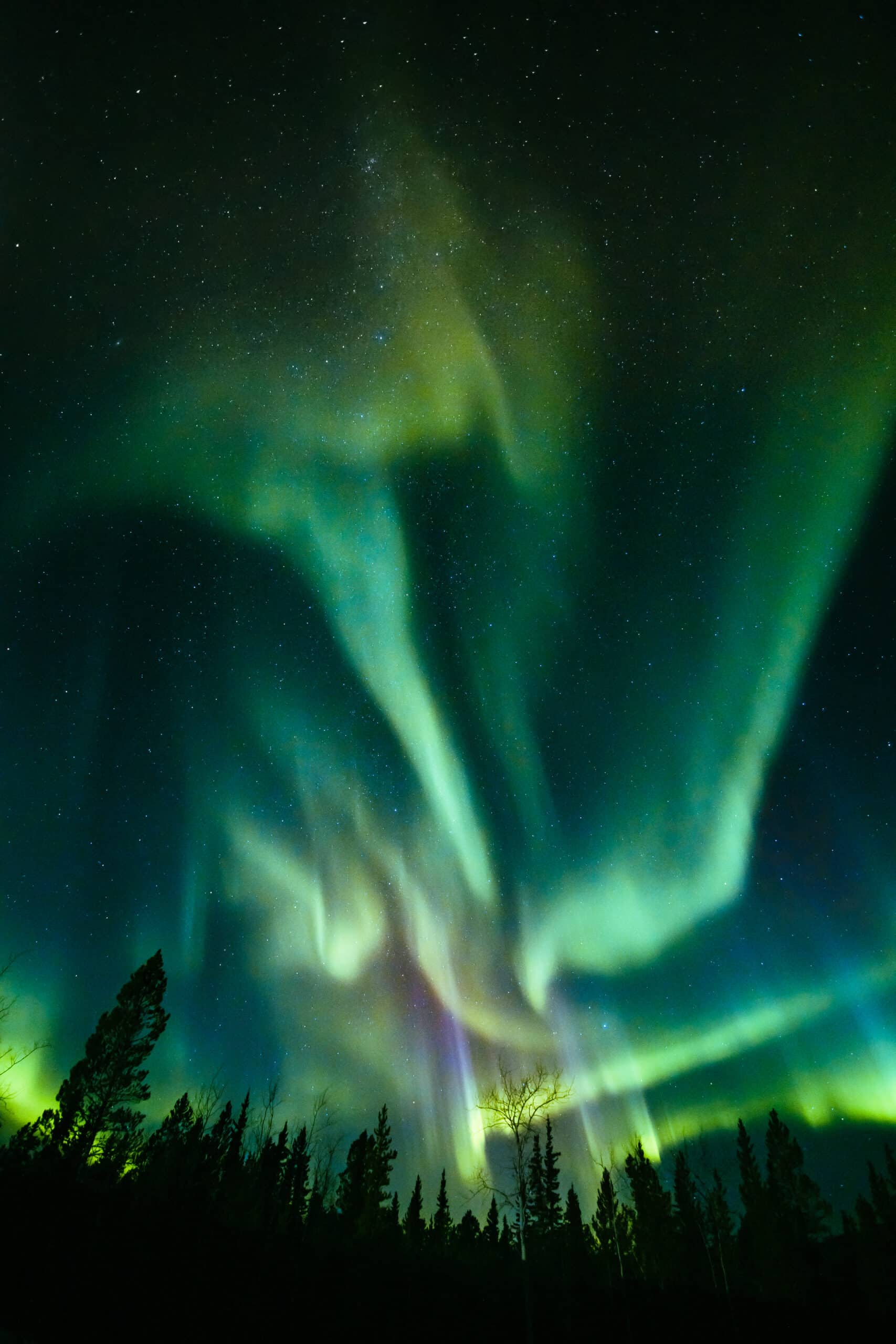 Northern Lights Yukon