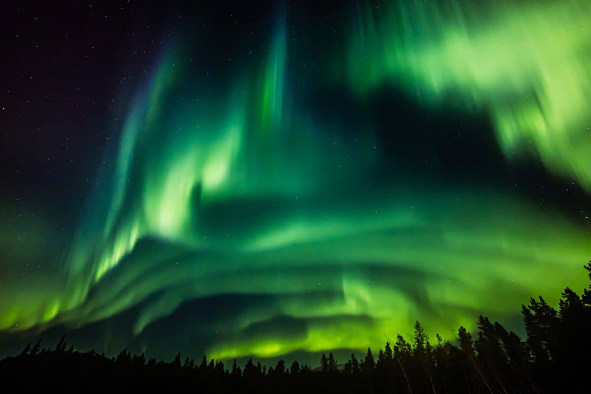 yukon-northern-lights-aurora-forest-sky