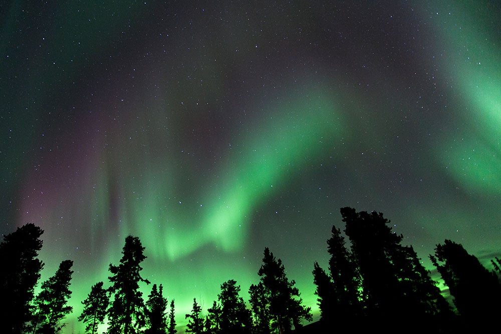 yukon-northern-lights-aurora-over-forest